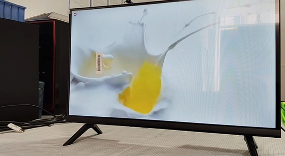 24 Inch T2S2 Digital TV LCD Ukuran Kecil Non-OS Dengan Multimedia